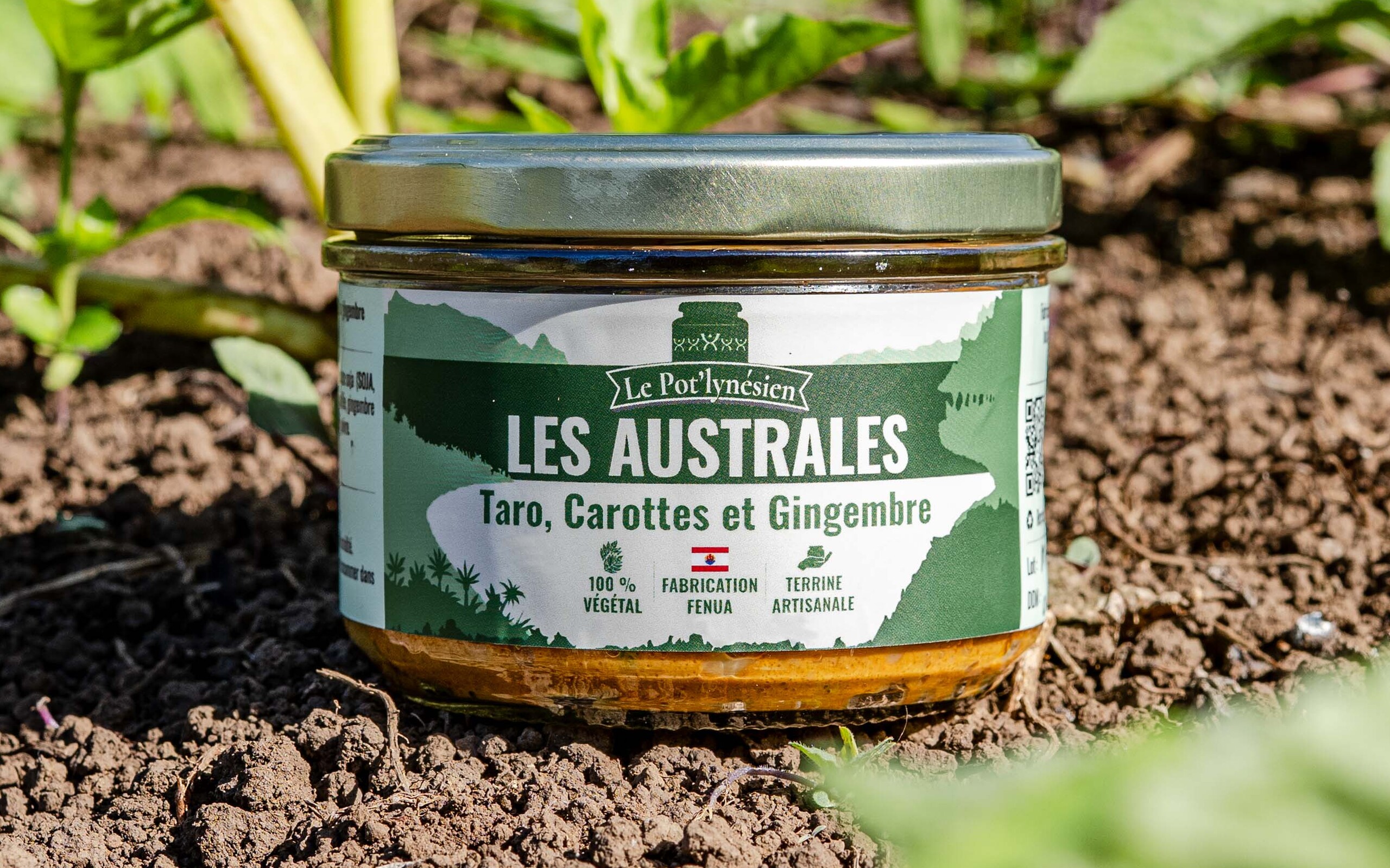 Terrine Les Australes, taro, carottes et gingembre, posée dans un champ de taro