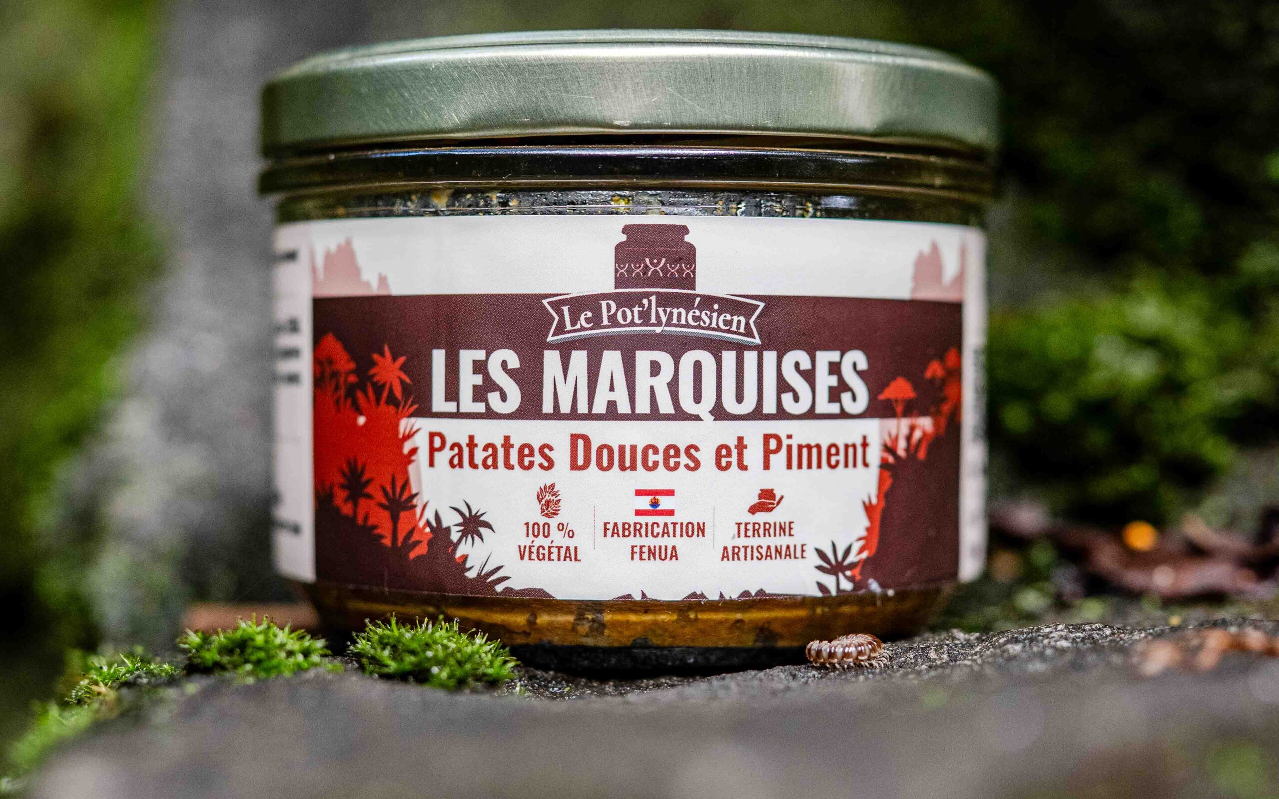 Terrine Les Marquises, umara, curcuma, gingembre et piment, sur la roche moussue